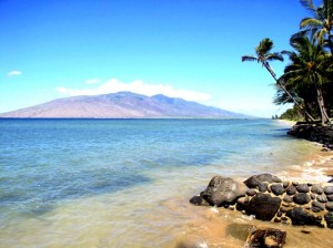 alanui beach2 b